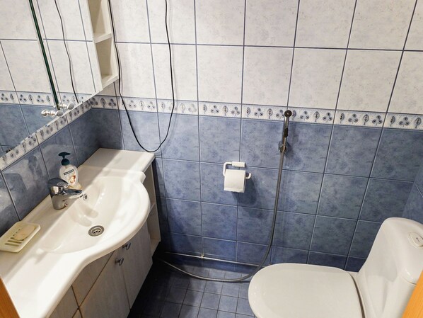 A bathroom with a white sink, a toilet, and a shower area.