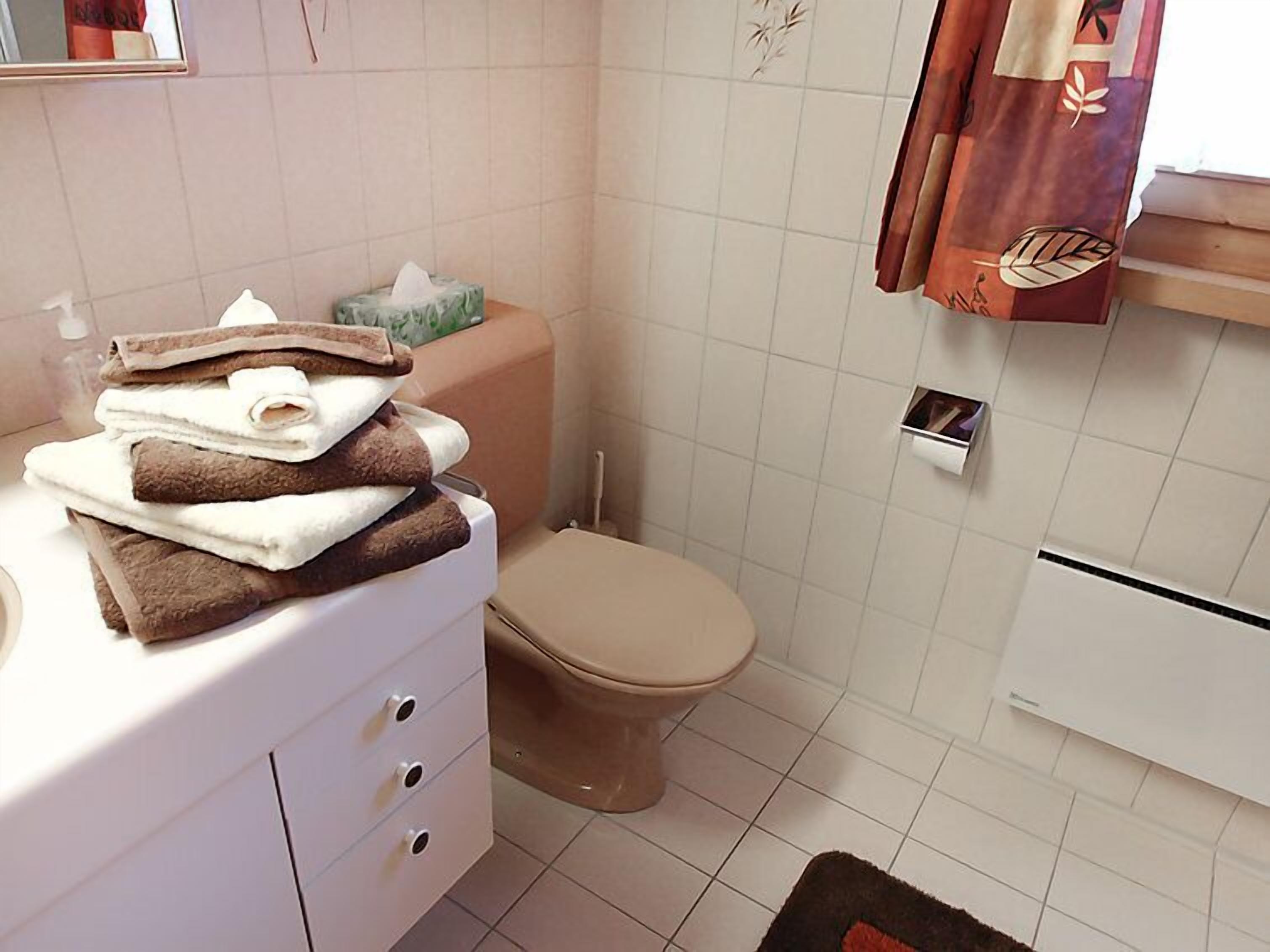 Een badkamer met een toilet, een wastafel en een stapel handdoeken, en een zakdoekendoos.
