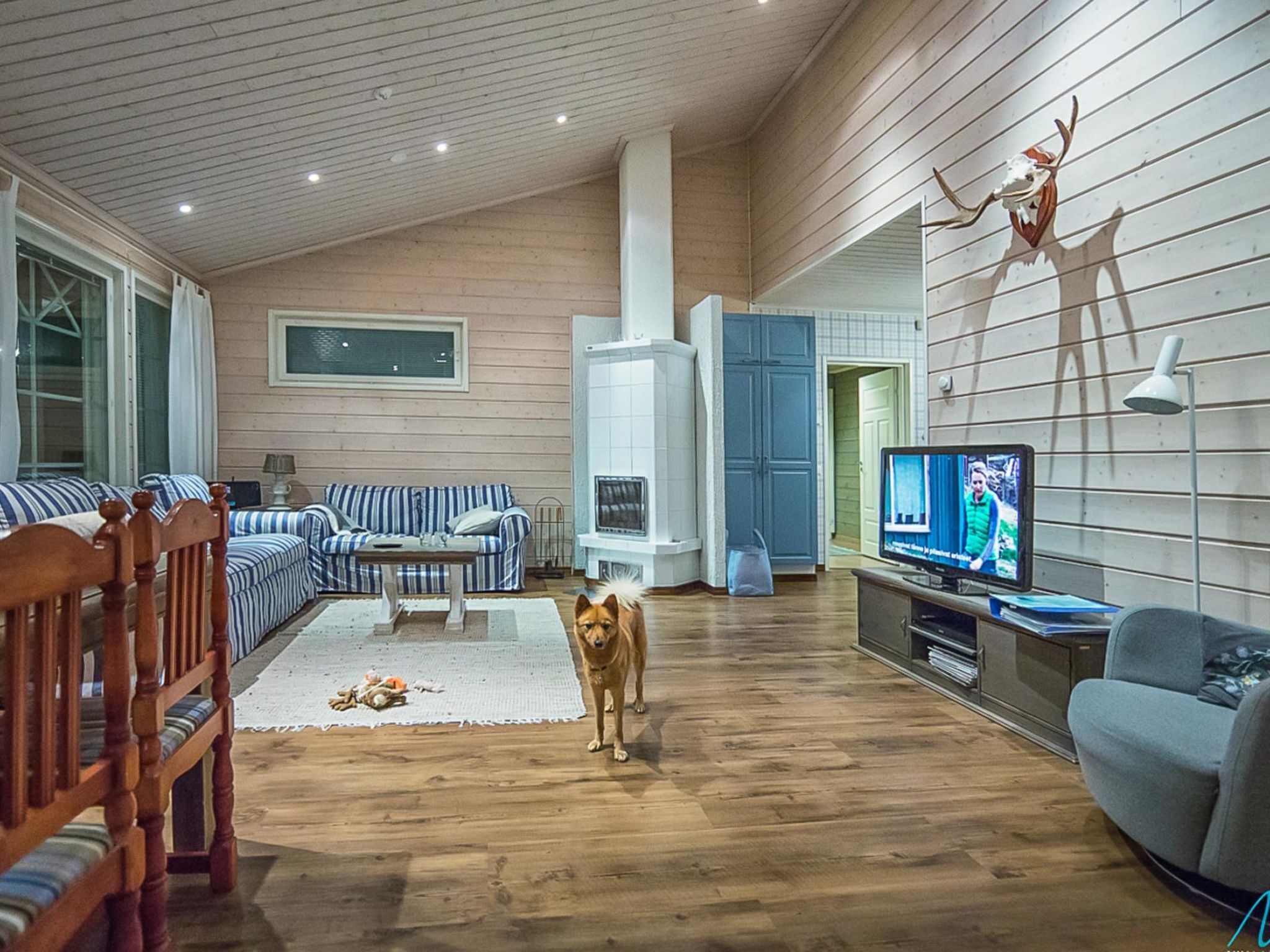 Televisio, DVD-soitin