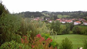 Blick auf eine Wohngegend mit Häusern, einer Wiese und einem Teich.