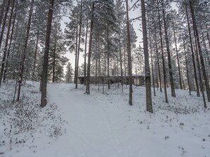Un bosque nevado con árboles altos y una cabaña al fondo.