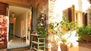 Un espace extérieur agrémenté d’un mur en briques, de volets en bois et de plantes en pot.