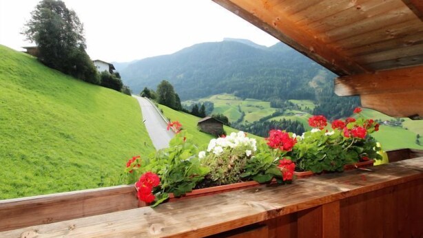 Un banc en bois offrant une vue sur une colline verdoyante et des montagnes en arrière-plan.