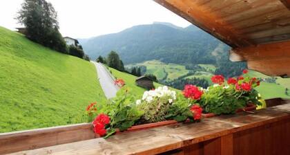 Ferienwohnung Alpin by Interhome