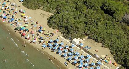 Barracuda by Interhome