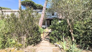 A pathway leading to a building surrounded by dense greenery and trees. - Barracuda by Interhome (Grosseto)