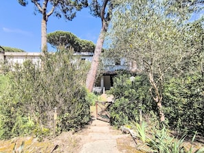 A pathway leading to a building surrounded by dense greenery and trees.