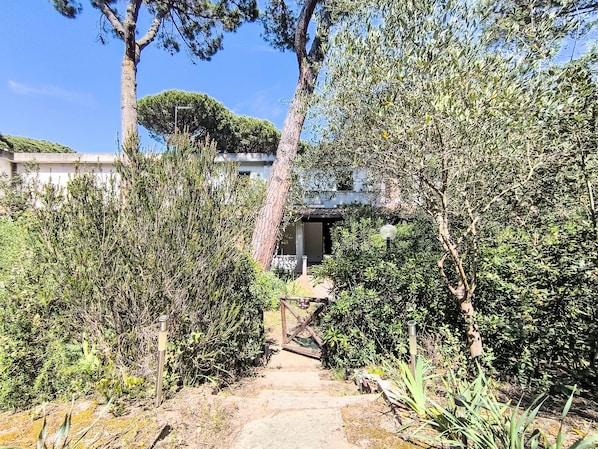 A pathway leading to a building surrounded by dense greenery and trees.