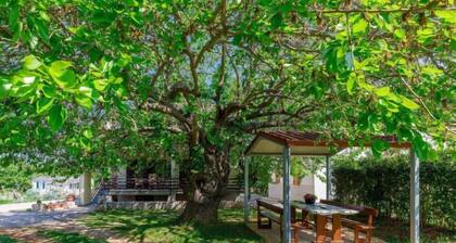 Ferienwohnung Vesela by Interhome