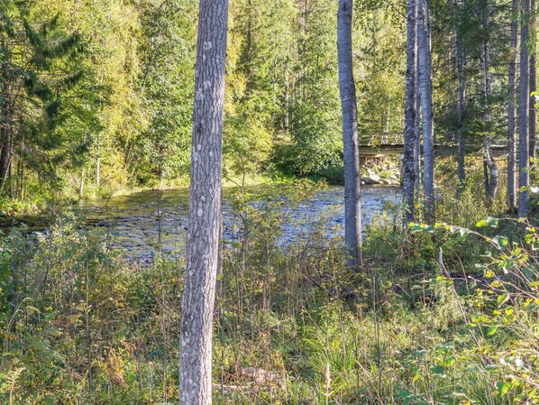 A natural landscape with a river, dense forest, and a wooden bridge. - Koskisaari, vaikon loma 2 by Interhome (Kaavi)