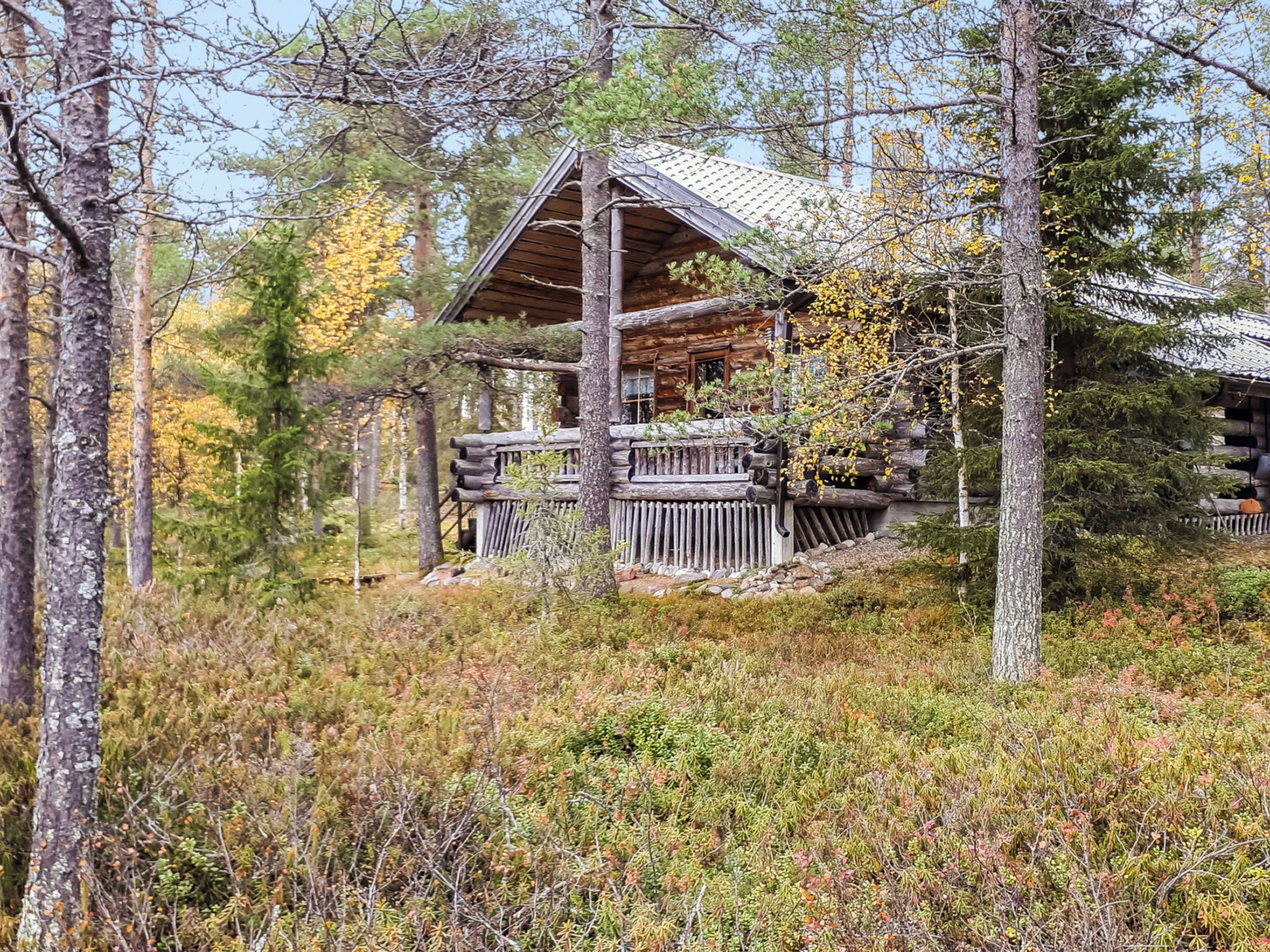 Eksteriør