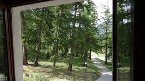 Vista desde una ventana a un área boscosa con un sendero pavimentado.