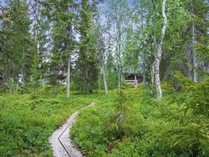 Escape to a secluded cabin nestled among the trees, surrounded by lush greenery and a winding stone path.