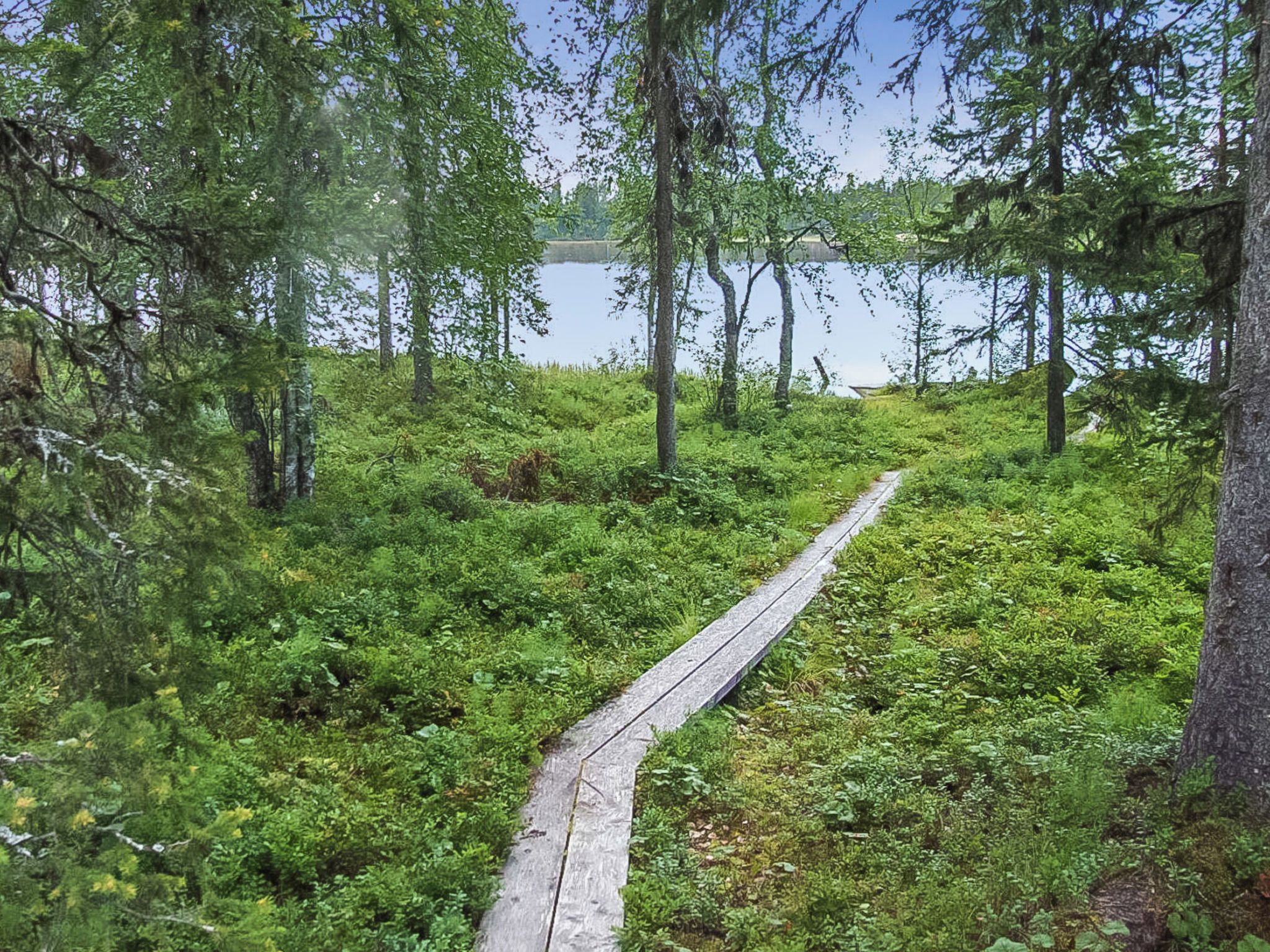 A narrow wooden pathway leading through a dense forest towards a body of water.
