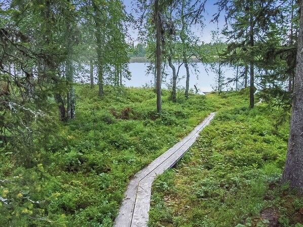 Kapea puinen polku, joka kulkee tiheän metsän läpi vesistöön päin.