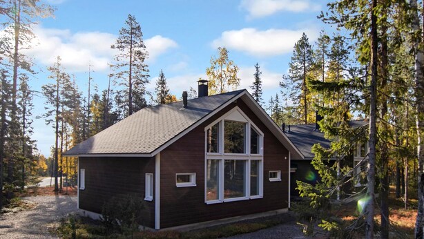 A cabin with a sloped roof, large windows, and a chimney, surrounded by tall trees and a gravel driveway.