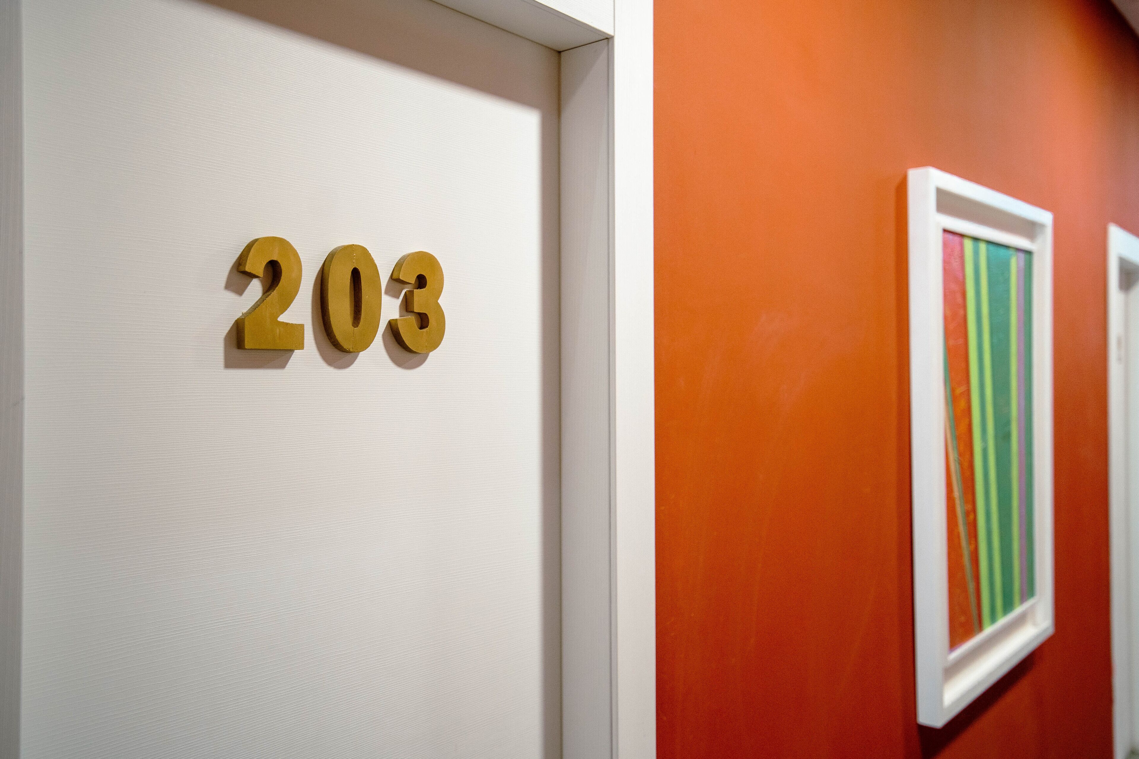Número de habitación '203' en una puerta blanca, junto a una pared con una obra de arte enmarcada con rayas verticales.
