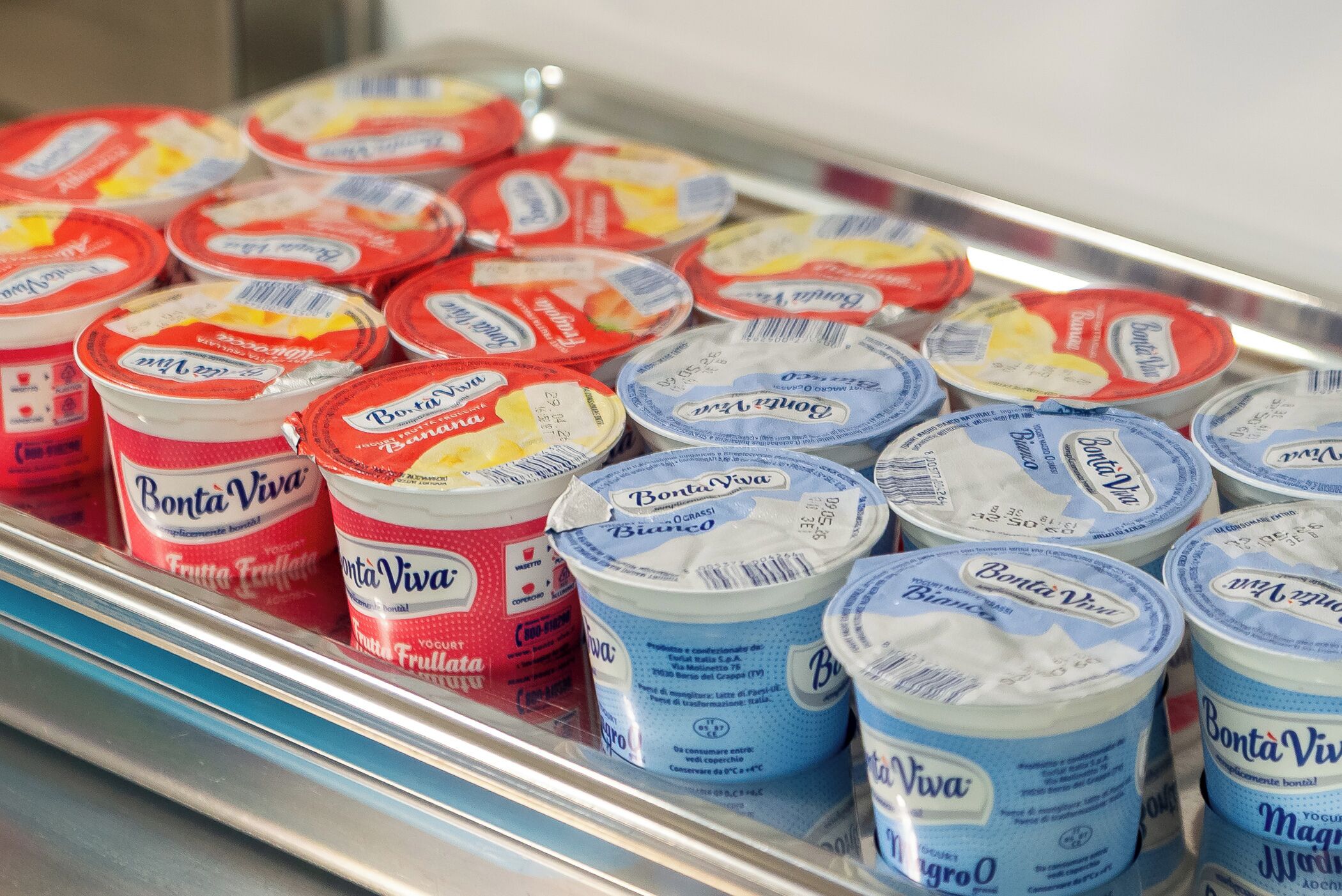 A refrigerated display of Bonta Viva yogurt containers in various flavors.