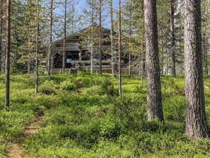En stuga omgiven av tät skog, med en klar himmel ovanför.