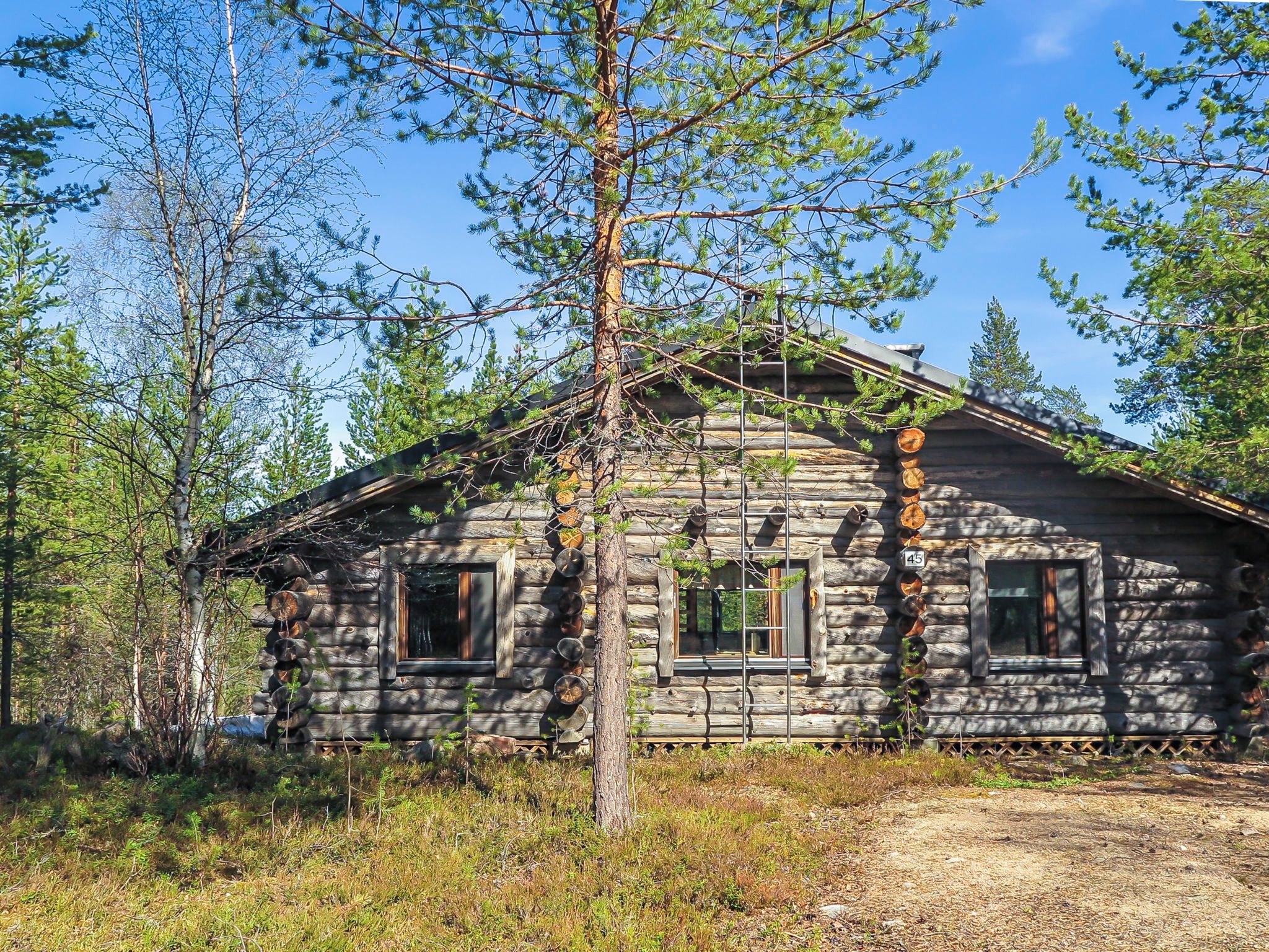 A rustic log cabin with a chimney, a window, and a door, surrounded by trees and a clear sky.