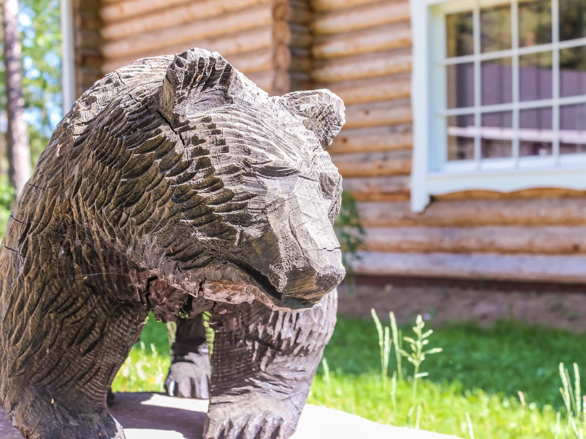 Detalle del exterior