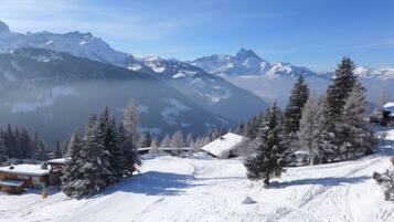 Wintersport/Ski