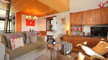 Télévision à écran plat, cheminée, lecteur de DVD