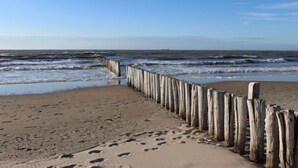 A sandy beach with a wooden walkway leading to the ocean.