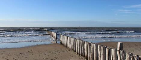 Playa
