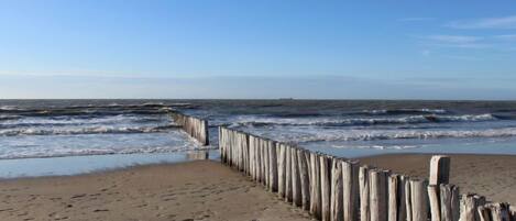 Vlak bij het strand