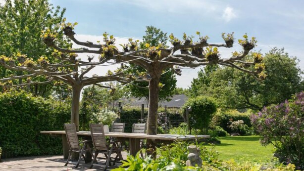 A garden patio with a pergola, a table, and chairs.