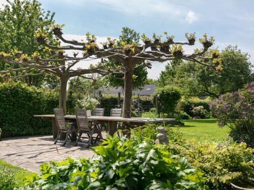 Zeeuws-Vlaanderen by Interhome