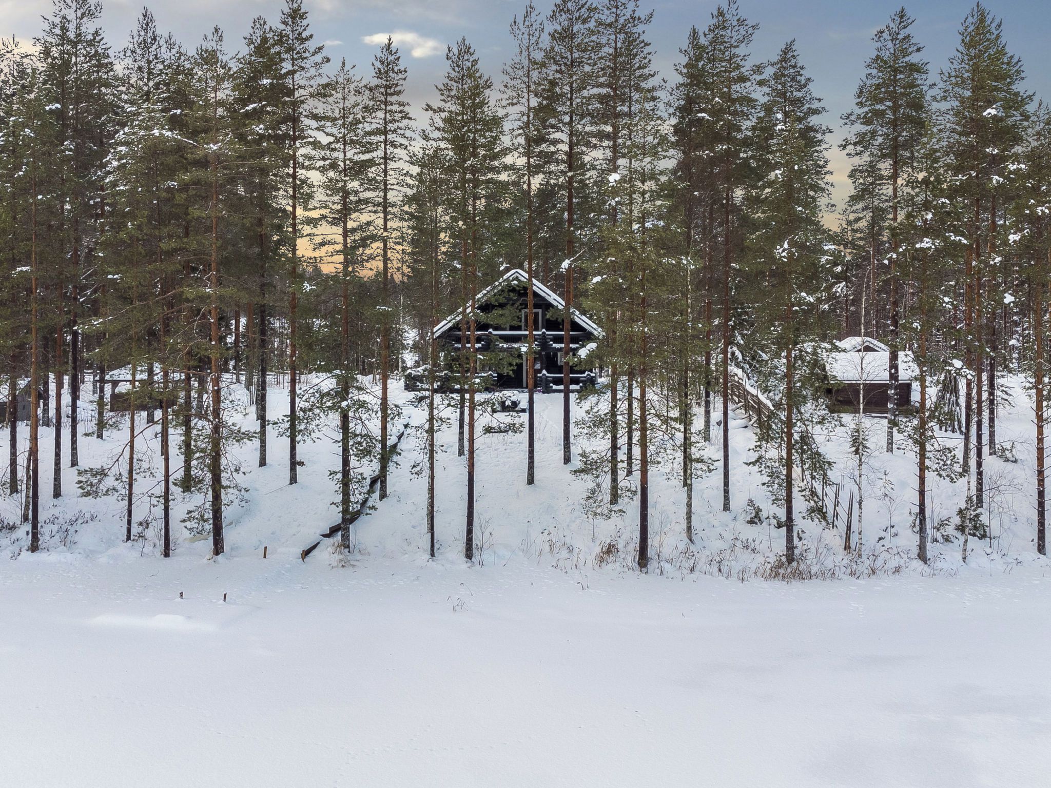 Una cabaña rodeada de árboles cubiertos de nieve.