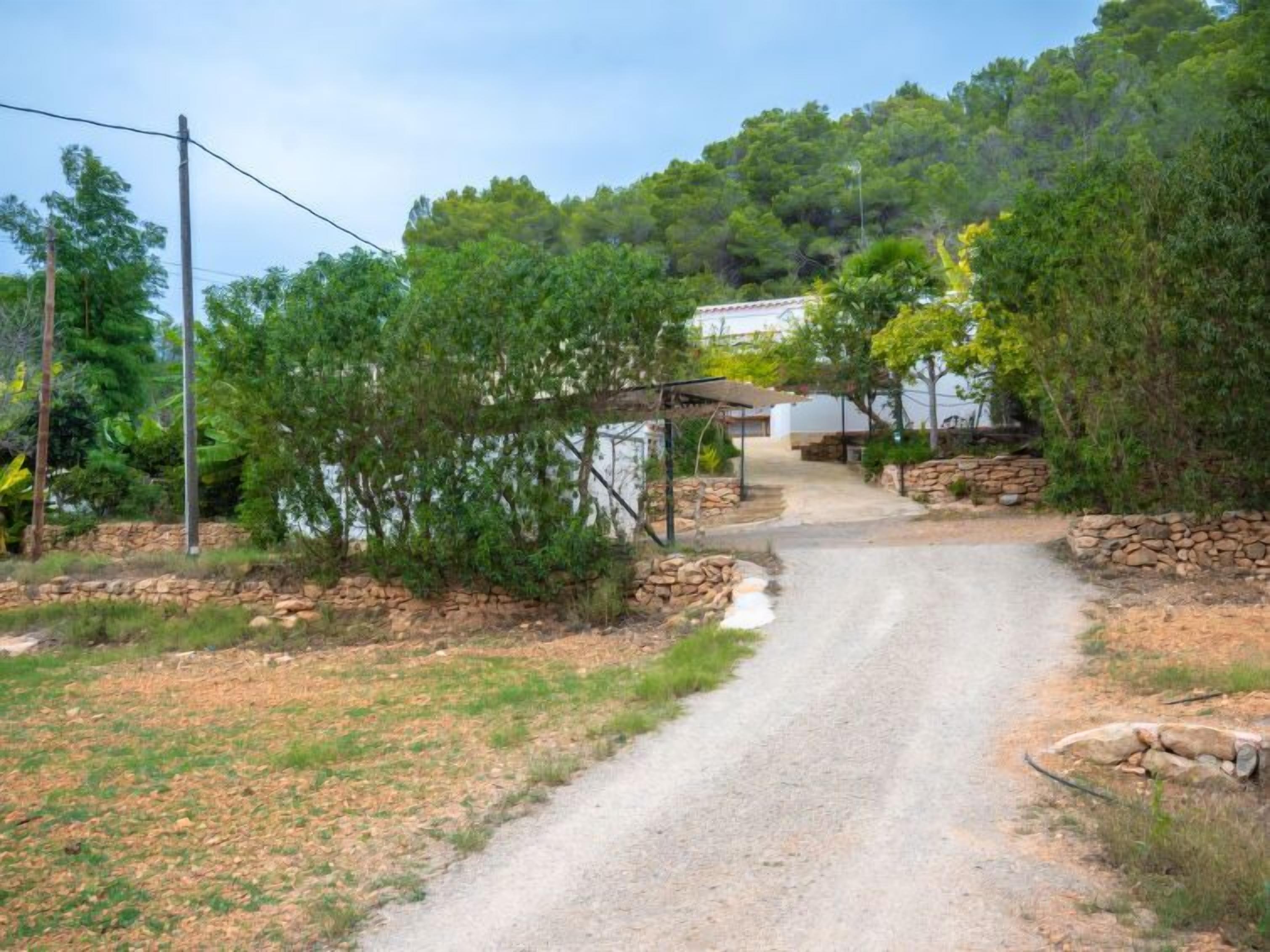 A rural road leading to a house surrounded by trees and stone walls.