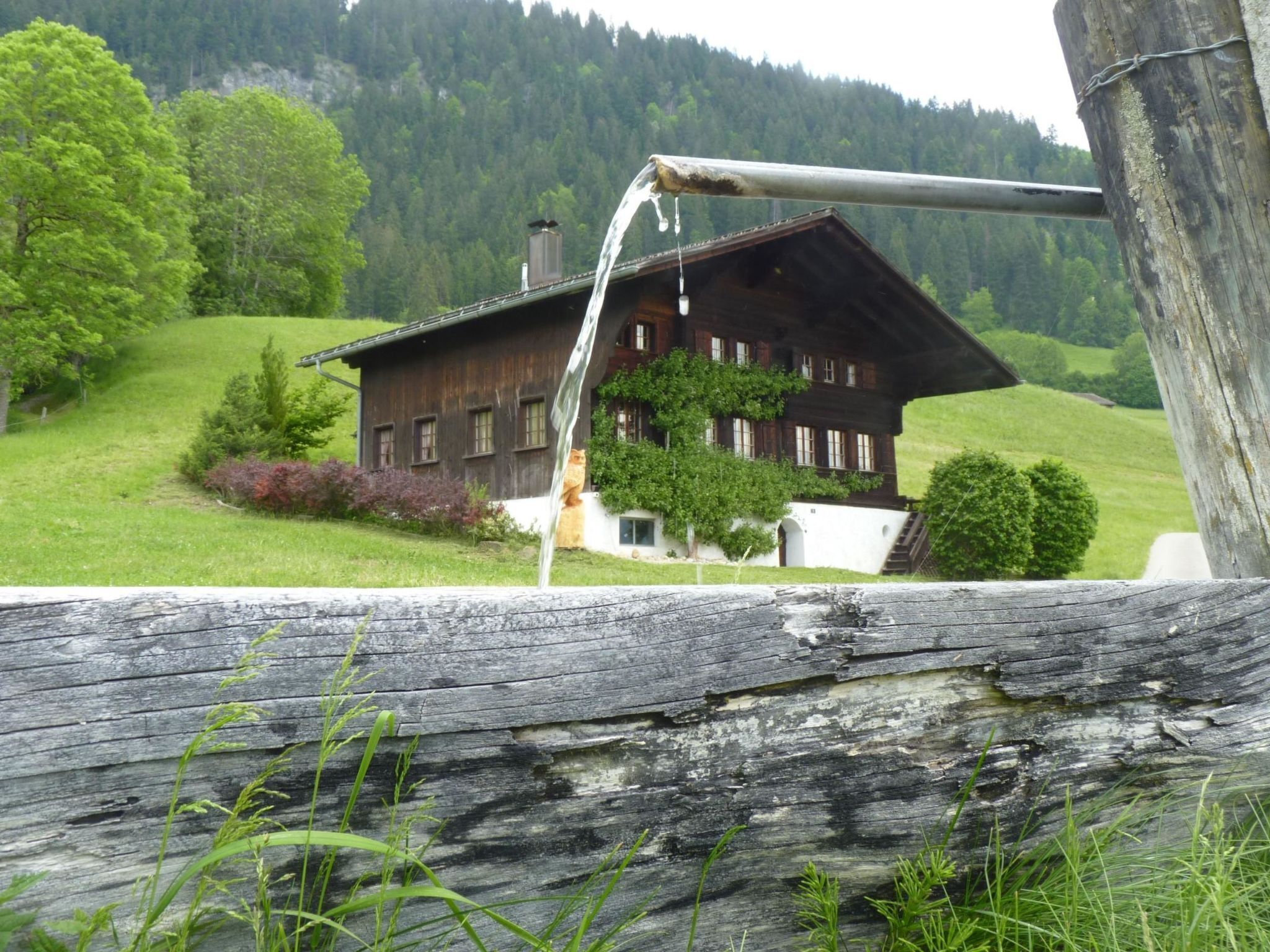 A rustic wooden house with a sloped roof, surrounded by lush greenery and a forested hillside.