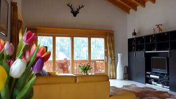 Fernseher, DVD-Player