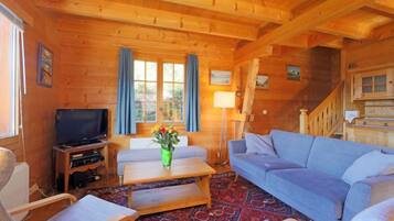 Télévision à écran plat, cheminée, lecteur de DVD