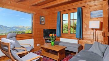 Télévision à écran plat, cheminée, lecteur de DVD