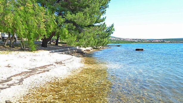 Une plage avec une eau claire et peu profonde, quelques arbres et une côte visible au loin.