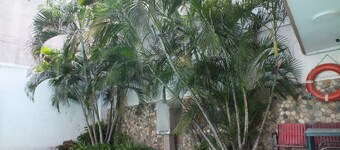 โรงแรม Ayenda Skall 1319