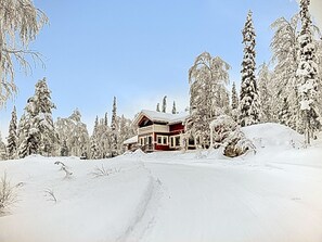 Ulkopuoli