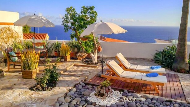 Un patio con sillones de descanso, sombrillas y plantas en macetas.