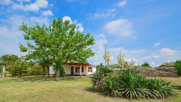 Una casa con techo rojo y paredes blancas, rodeada por un césped y un árbol grande.