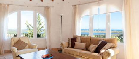 TV, fireplace, DVD player