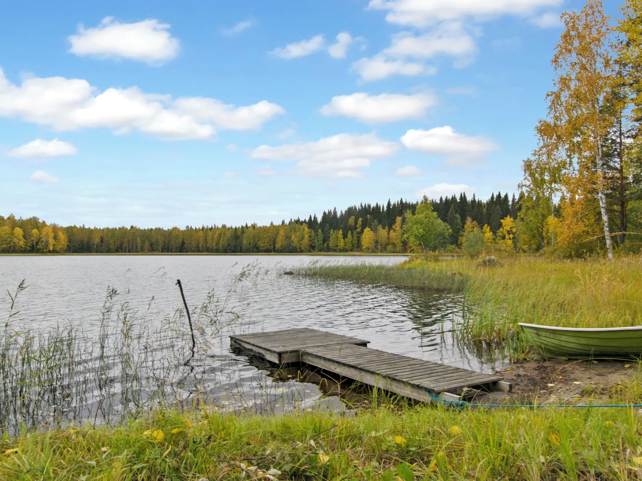 Un lago tranquillo con un molo di legno che si protende nell'acqua, circondato da rive erbose e una foresta sullo sfondo.