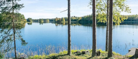 En stilla sjö med träd och en brygga.