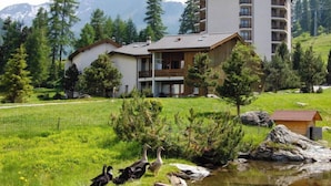 Een modern hotel met een groot hoofdgebouw en een kleinere aanbouw, omringd door weelderige begroeiing en een vijver met eenden.