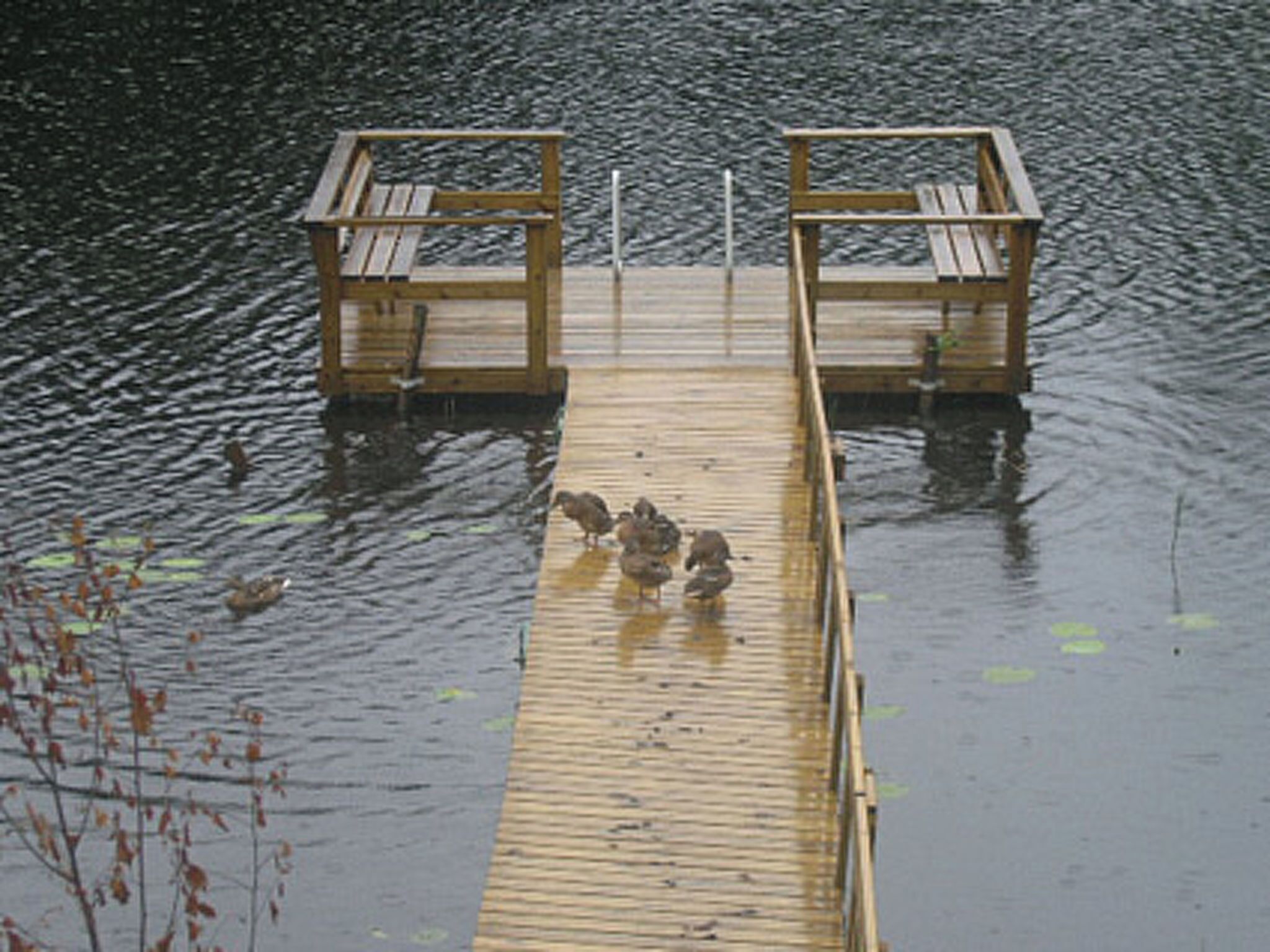 Une jetée en bois avec deux bancs qui s’avancent dans l’eau.