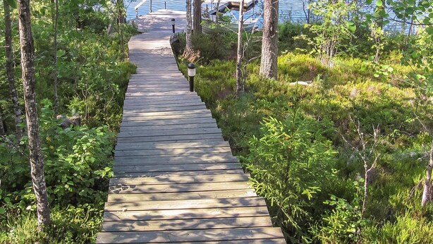 Pasarela de madera que lleva a un muelle junto a un lago, rodeado de abundante vegetación.