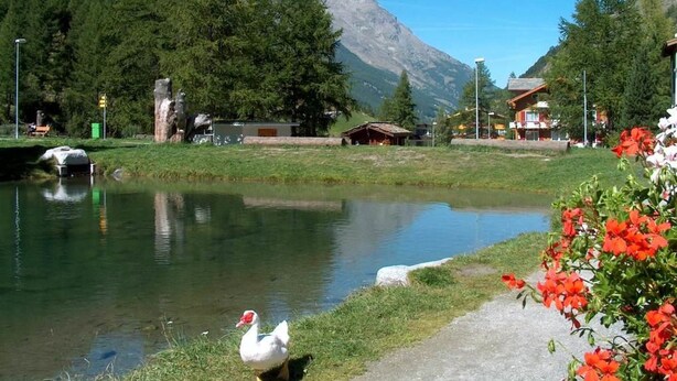A tranquil lakeside scene with a swan, lush greenery, and a mountain backdrop. - Haus Alpenrose by Interhome (Saas-Almagell)
